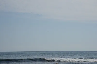 DSC_0819 (Large).JPG